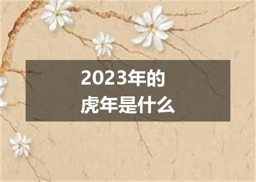 2023年的虎年是什么