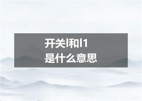 开关l和l1是什么意思
