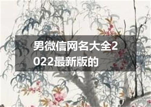 男微信网名大全2022最新版的