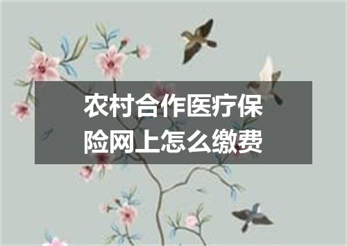 农村合作医疗保险网上怎么缴费