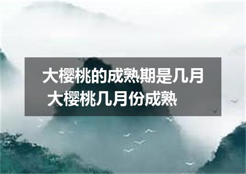 大樱桃的成熟期是几月 大樱桃几月份成熟