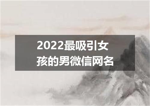 2022最吸引女孩的男微信网名