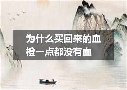为什么买回来的血橙一点都没有血