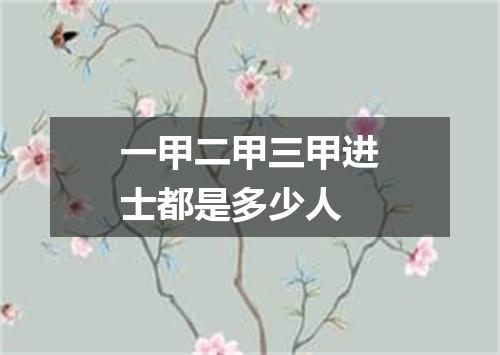 一甲二甲三甲进士都是多少人