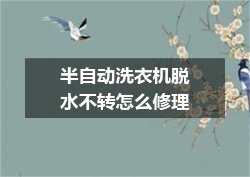 半自动洗衣机脱水不转怎么修理