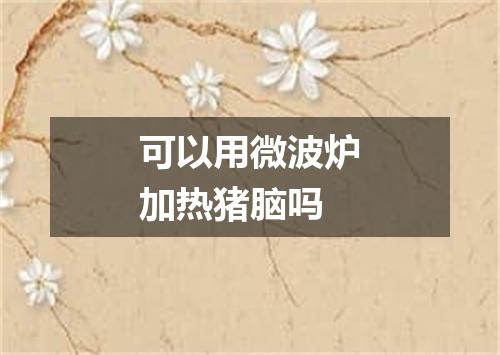 可以用微波炉加热猪脑吗