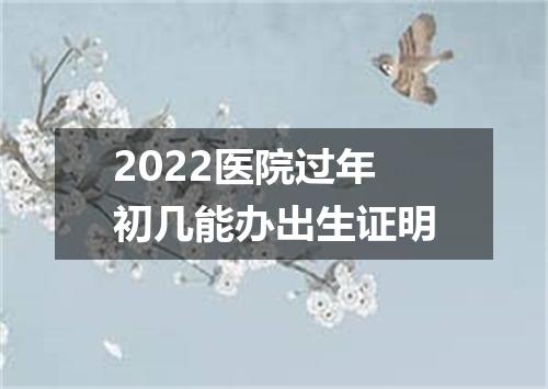 2022医院过年初几能办出生证明
