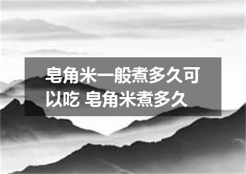 皂角米一般煮多久可以吃 皂角米煮多久