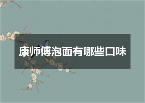 康师傅泡面有哪些口味