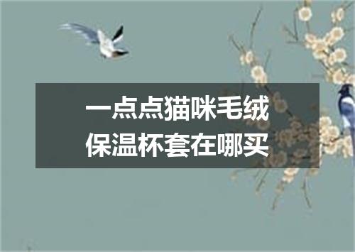 一点点猫咪毛绒保温杯套在哪买