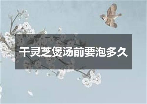 干灵芝煲汤前要泡多久