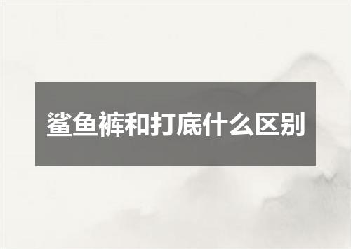 鲨鱼裤和打底什么区别