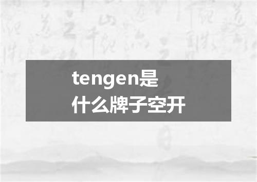 tengen是什么牌子空开