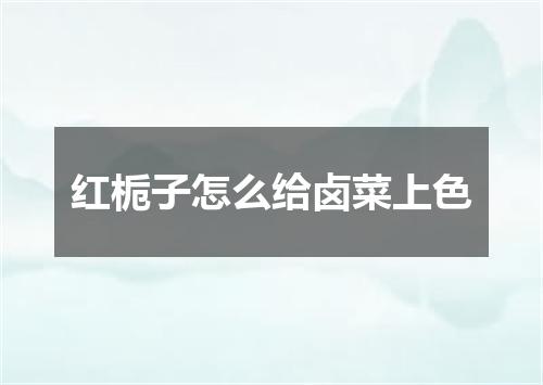 红栀子怎么给卤菜上色