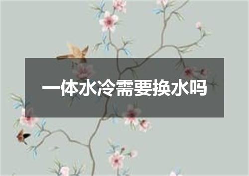 一体水冷需要换水吗