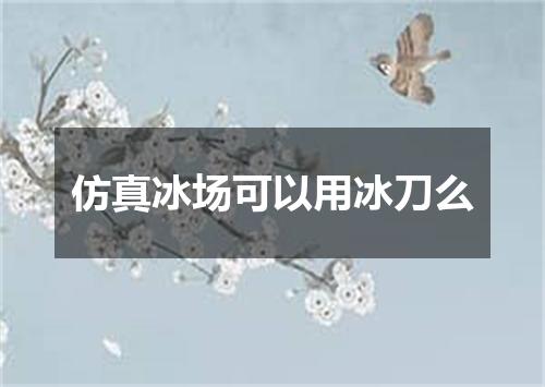 仿真冰场可以用冰刀么