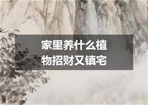 家里养什么植物招财又镇宅