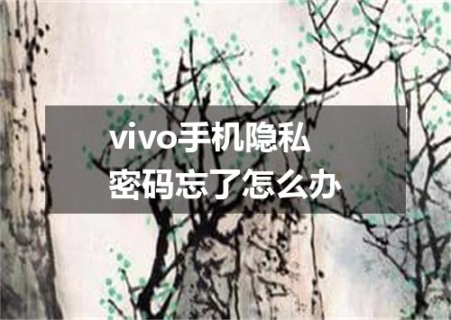 vivo手机隐私密码忘了怎么办