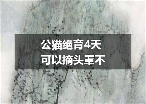 公猫绝育4天可以摘头罩不