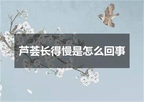 芦荟长得慢是怎么回事