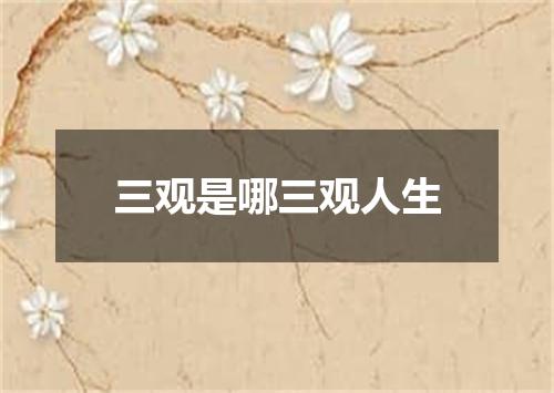 三观是哪三观人生