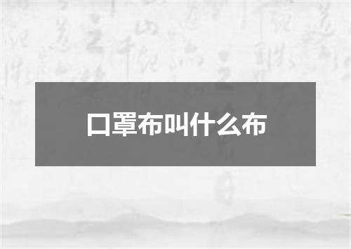 口罩布叫什么布