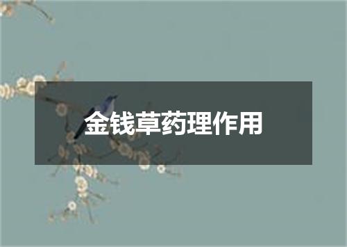 金钱草药理作用