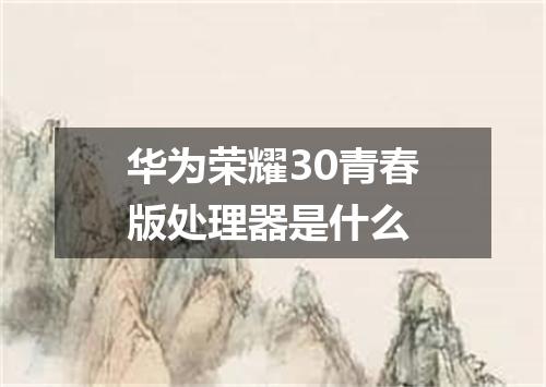 华为荣耀30青春版处理器是什么