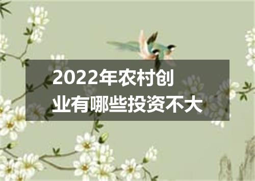 2022年农村创业有哪些投资不大