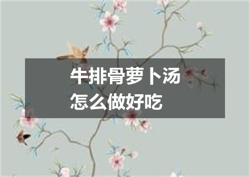 牛排骨萝卜汤怎么做好吃