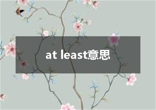 at least意思
