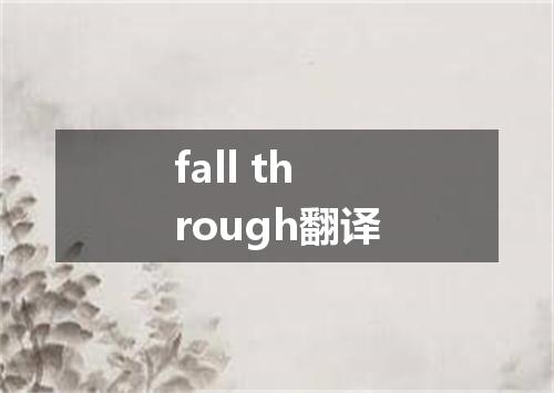 fall through翻译