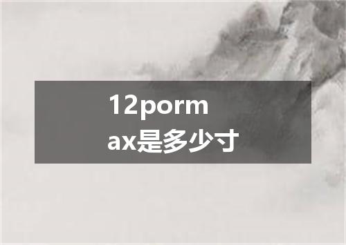 12pormax是多少寸