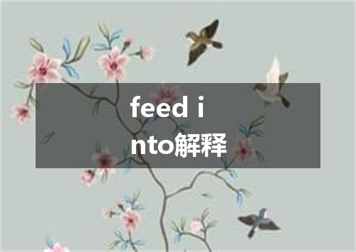 feed into解释