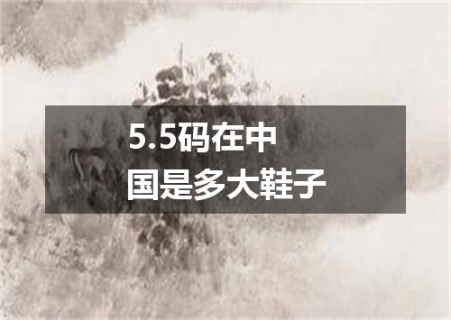 5.5码在中国是多大鞋子