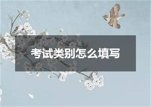 考试类别怎么填写