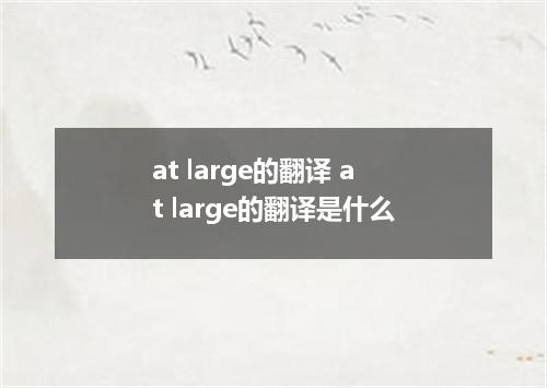at large的翻译 at large的翻译是什么