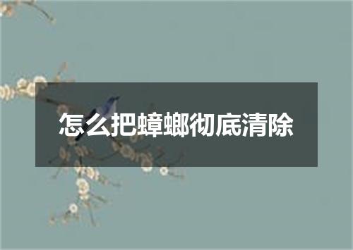怎么把蟑螂彻底清除