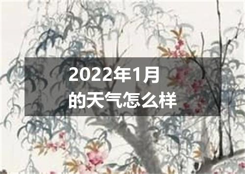 2022年1月的天气怎么样