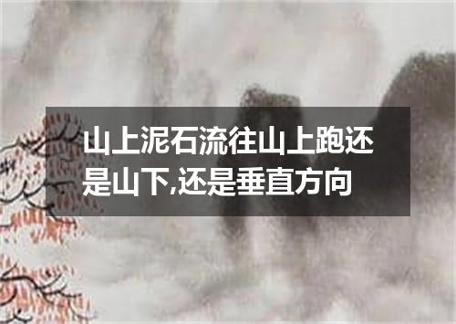 山上泥石流往山上跑还是山下,还是垂直方向