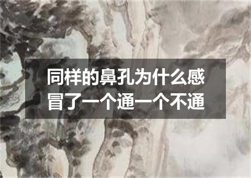 同样的鼻孔为什么感冒了一个通一个不通