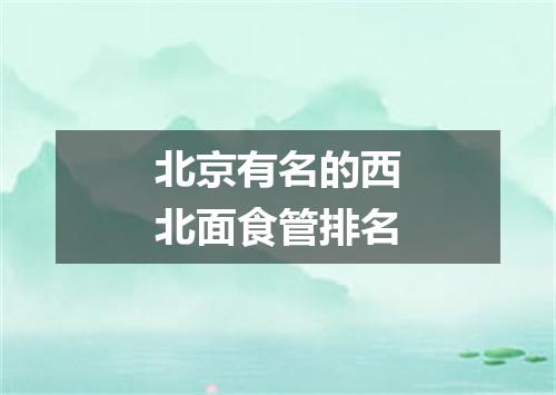 北京有名的西北面食管排名