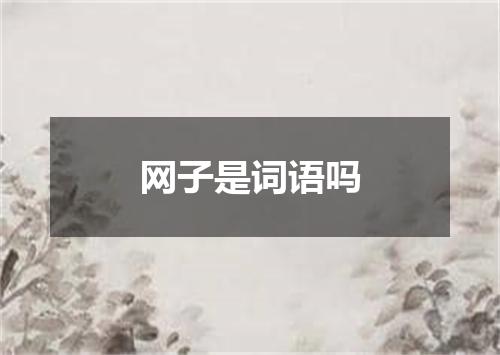 网子是词语吗