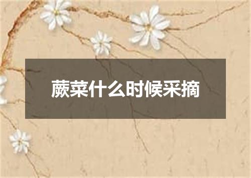 蕨菜什么时候采摘