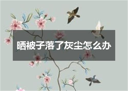 晒被子落了灰尘怎么办