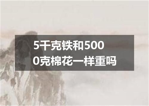 5千克铁和5000克棉花一样重吗