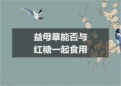 益母草能否与红糖一起食用