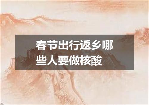 春节出行返乡哪些人要做核酸