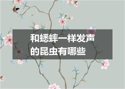 和蟋蟀一样发声的昆虫有哪些