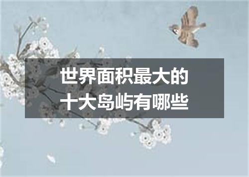 世界面积最大的十大岛屿有哪些